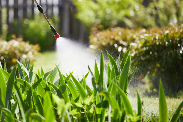 Tamper-Resistant Bait Stations for Rodents in Monongah