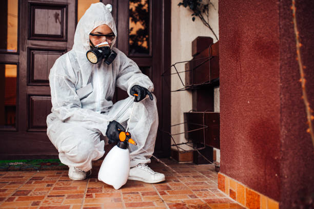 Attic and Crawl Space Rodent Treatment in Monongah