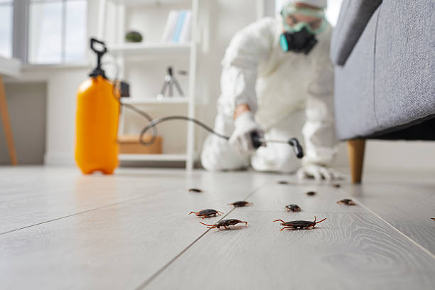 Commercial Rodent Management in Monongah